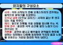 동서양의극암악 16페이지