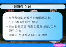 동서양의극암악 29페이지
