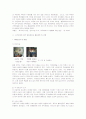 외식문화의 도입과 진출에 관련한 예상효과 및 활용계획 11페이지