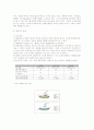 외식문화의 도입과 진출에 관련한 예상효과 및 활용계획 22페이지