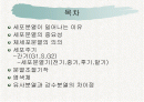 체세포분열 2페이지