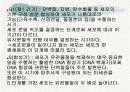 체세포분열 7페이지