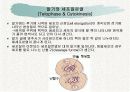 체세포분열 14페이지