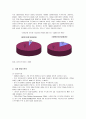애니콜의 중국진출 마케팅전략과 성공요인 4페이지