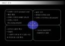 명품 BMW의 국내시장 진출전략 22페이지