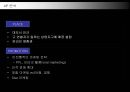 명품 BMW의 국내시장 진출전략 26페이지