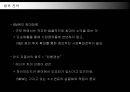 명품 BMW의 국내시장 진출전략 32페이지