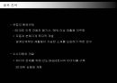 명품 BMW의 국내시장 진출전략 33페이지