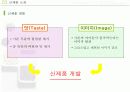 두유제품 판매량을 늘이기위한 마케팅기획서 16페이지