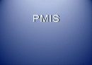 pmis 발표 1페이지