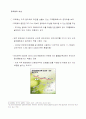 중국위안화 절상의 배경과 그 영향 및 대책 11페이지
