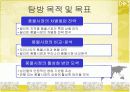 아시아 재래시장 비교분석 ttp 한국 일본 필리핀  6페이지