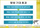 아시아 재래시장 비교분석 ttp 한국 일본 필리핀  22페이지