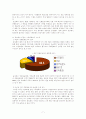 유로화의 통합 및 발전과정 8페이지