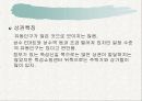 양꼬치 구이 전문점 창업 계획서 11페이지