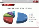 현대자동차의 고급화 마케팅전략 6페이지