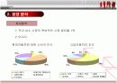 현대자동차의 고급화 마케팅전략 11페이지