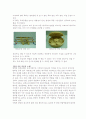 변산반도와 서남부 지역을 다녀와서(답사보고서) 3페이지