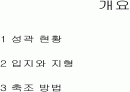 백제 한성기의 성곽 2페이지