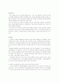 서머힐을 읽고 비판점과 시사점 1페이지