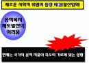 사회적 위험의 변화와 대응방안 ppt 13페이지
