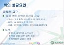 비와 보아의 성공요인 7페이지