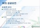 비와 보아의 성공요인 8페이지