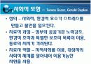 정신건강에 대한 이해 (성격학자들 견해) 6페이지