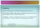디스플레이  설계 프로젝트 7페이지