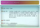 디스플레이  설계 프로젝트 14페이지