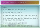 디스플레이  설계 프로젝트 59페이지