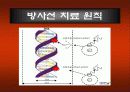 방사선 치료 합병증 관리 5페이지