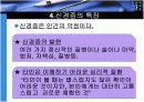 신경증의 원인과 특성 및 치료 7페이지