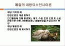 메릴의 내용요소전시이론 11페이지