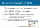 MIS 케이스분석, Business Inteligence Software at SYSCO 6페이지