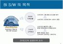 MIS 케이스분석, Business Inteligence Software at SYSCO 7페이지