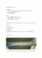 한국어 속 외계어 4페이지