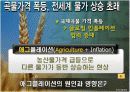 곡물가격의 급등이 국내경제에 미치는 영향.PPT자료 3페이지