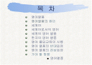 [PPT] 영어열풍에 대한 원인,찬성,반대 그리고 해결방안 2페이지