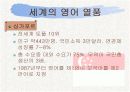 [PPT] 영어열풍에 대한 원인,찬성,반대 그리고 해결방안 10페이지
