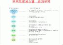 전자무역과 GSCM 13페이지