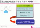 하나로텔레콤 사업전략 분석 12페이지