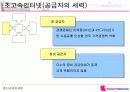 하나로텔레콤 사업전략 분석 13페이지