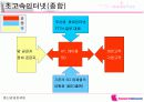 하나로텔레콤 사업전략 분석 15페이지