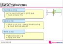하나로텔레콤 사업전략 분석 46페이지