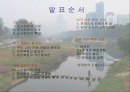 [지역하천] 지역하천 및 지방하천의 개발과 문제점 -양재천을 중심으로- 2페이지
