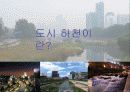[지역하천] 지역하천 및 지방하천의 개발과 문제점 -양재천을 중심으로- 3페이지