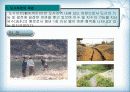 [지역하천] 지역하천 및 지방하천의 개발과 문제점 -양재천을 중심으로- 4페이지