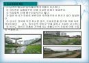 [지역하천] 지역하천 및 지방하천의 개발과 문제점 -양재천을 중심으로- 6페이지