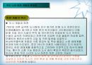 [지역하천] 지역하천 및 지방하천의 개발과 문제점 -양재천을 중심으로- 8페이지